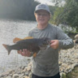 Meet your Posher, Weston